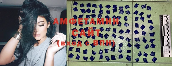 гашик Алексеевка
