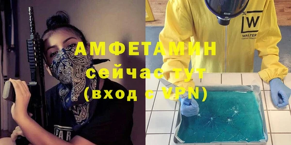 гашик Алексеевка
